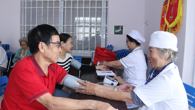 Nha Trang Ward Senior Citizens Association: Taking good care of its members' lives.