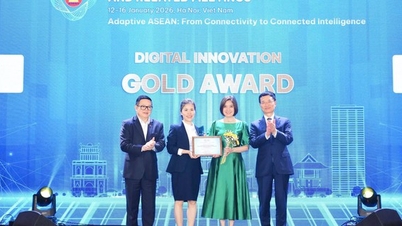 Vietnam vinner tre ASEAN Digital Awards 2026.
