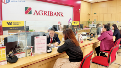 Garantizamos transacciones bancarias seguras, estables y fluidas.