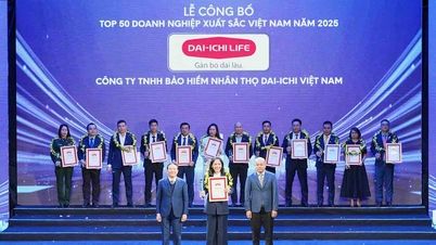 Dai-ichi Life ranked among the Top 500 Largest Enterprises in Vietnam in 2025.