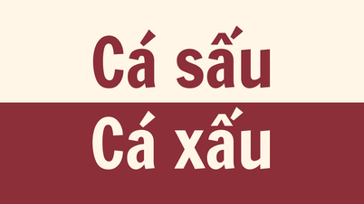 Ist „cá sấu“ oder „cá xấu“ die richtige Schreibweise?