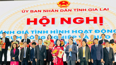 Gia Lai ยืนหยัดเคียงข้างนักลงทุน ส่งเสริมการพัฒนาเขตอุตสาหกรรมและกลุ่มอุตสาหกรรม