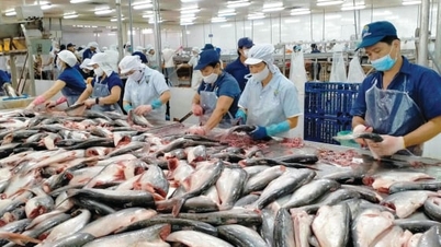 Усунення податкових перешкод для підприємств морепродуктів.