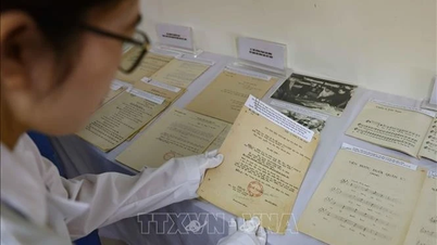 国家の科学発展、イノベーション、デジタル変革の要件を満たすことに貢献します。