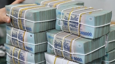 Đồng Nai: Huy động vốn vượt tốc độ tăng trưởng tín dụng