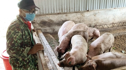 A agricultura orgânica e circular cria meios de subsistência sustentáveis.