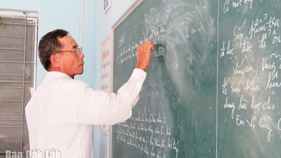 Aumentar los beneficios: mantener viva la pasión por la profesión.