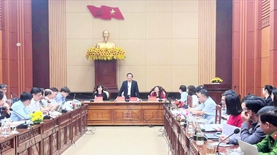 Da Nang: Inspeccionando los preparativos para las elecciones a la 16ª Asamblea Nacional y al Consejo Popular en todos los niveles.