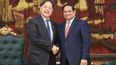 Vietnam och Japan stärker samarbetet inom teknik och utbildning av personalresurser.