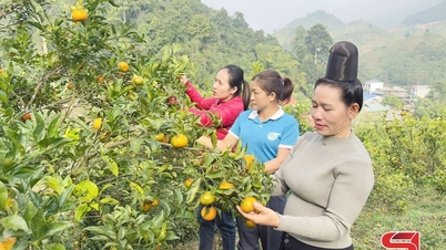 Phát huy hiệu quả nguồn vốn đầu tư vùng đồng bào dân tộc thiểu số
