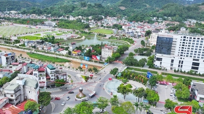Xây dựng phường Tô Hiệu trở thành trung tâm đô thị xanh, văn minh