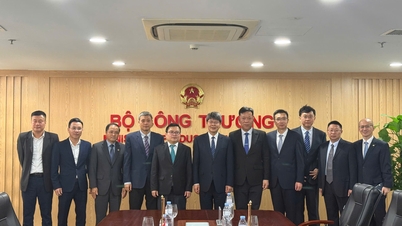 Ministrul adjunct Truong Thanh Hoai l-a primit și a avut o întâlnire de lucru cu ministrul adjunct al Ministerului Industriei și Informațiilor din China.