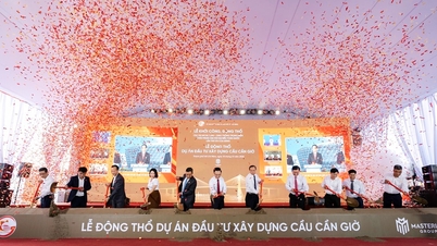 Groundbreaking Ceremony for Can Gio Bridge: An Infrastructure "Iron Punch" Opens a New Growth Cycle for Coastal Real Estate in Southern Ho Chi Minh City