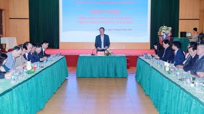 La Unión de Organizaciones de Amistad de las provincias de Thanh Hoa y Dong Nai implementa tareas para 2026.