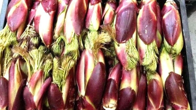 ベトナムの山菜は「世界一の珍味」とされており、簡単な調理法でも美味しく栄養価の高い料理になります。