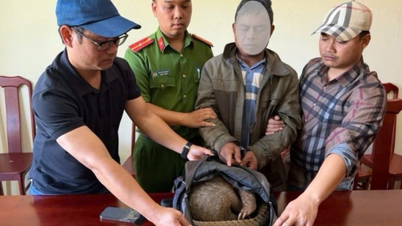 Bắt quả tang người đàn ông vận chuyển trái phép cá thể tê tê quý hiếm