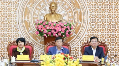 Die Provinz Lam Dong wurde vom Premierminister für ihren „schnellen und entscheidenden“ Sieg im Feldzug von Quang Trung gelobt.