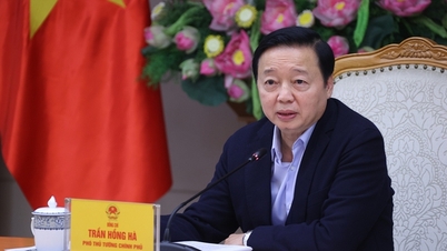 The provinces of Dien Bien and Son La are the investors for the Hoa Binh - Moc Chau - Son La - Dien Bien - Tay Trang Border Gate expressway.