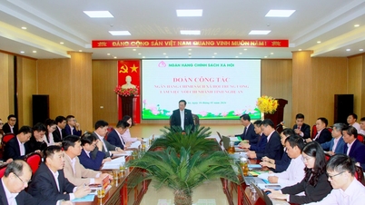 Duong Quyet Thang, Generaldirektor der Vietnam Bank for Social Policies, arbeitet mit der Filiale in Nghe An zusammen.