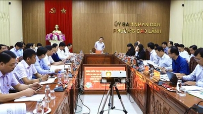 동탑시: 까오란구와 미짜구의 선거 준비 상황을 점검하고 있습니다.