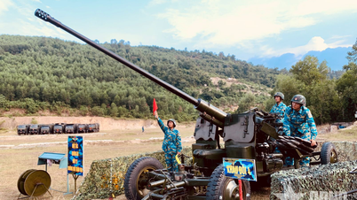 224. Flugabwehrartillerieregiment: Umfassender, zielgerichteter und bahnbrechender Einsatz.