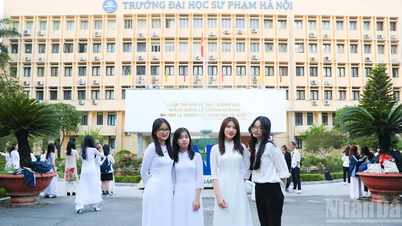 Die Pädagogische Universität Hanoi wird im Jahr 2026 acht neue Studiengänge und Ausbildungsprogramme einführen.