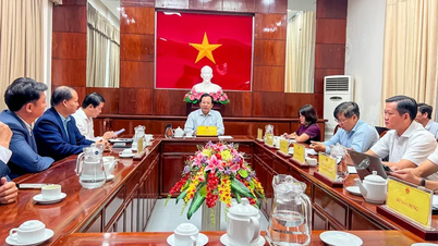 Viet Sin Energy prüft Investitionsmöglichkeiten in Energieprojekten in Can Tho.