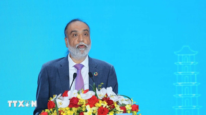 Din economia digitală - Vietnamul se confruntă cu o mare oportunitate de a face progrese în noua eră.