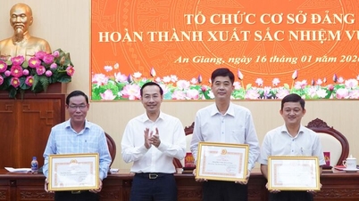 Parteikomitee der Parteiorganisationen in der Provinz An Giang: Bestätigung seiner Rolle als Kern der umfassenden Führung.
