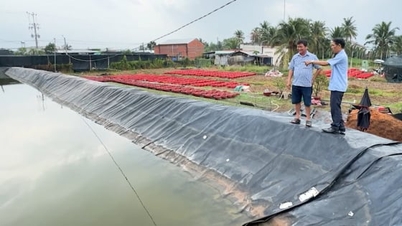 ‘Giữ ngọt’ cho thủ phủ cây giống, hoa kiểng Chợ Lách