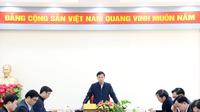 Los sectores de Cultura y Salud de Lam Dong están desarrollando escenarios para lograr objetivos de crecimiento de "dos dígitos".