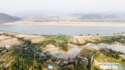 La provincia de Nghe An ha entregado más de 2.800 marcadores de limpieza de tierras para la autopista Vinh - Thanh Thuy.