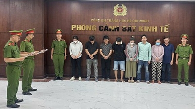 La policía de Ciudad Ho Chi Minh allanó numerosos "talleres" que transformaban carne de cerdo en carne de avestruz, cabra, ciervo y puercoespín.