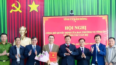 Yoldaş Pham Duc Loc, Quang Tan beldesinin Parti Komitesi Sekreteri olarak atandı.