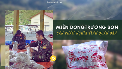 Truong Son eriştesi - Ordu ve halk arasındaki dayanışmanın bir ürünü.