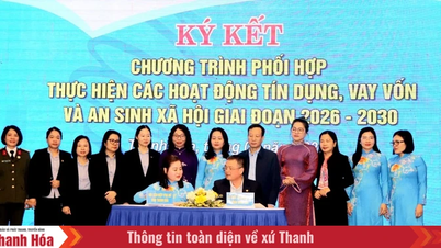 Der Provinzfrauenverband und die Thanh Hoa Microfinance Organization Limited haben ein Kooperationsabkommen für den Zeitraum 2026-2030 unterzeichnet.