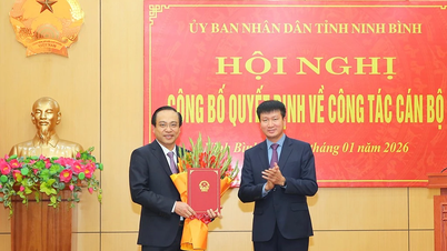 Der Premierminister hat die Ernennung von Genosse Dang Thanh Son zum stellvertretenden Vorsitzenden des Provinzvolkskomitees genehmigt.