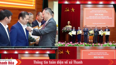 Výbor strany energetické společnosti Thanh Hoa: Jednota, inovace a touha po pokroku.
