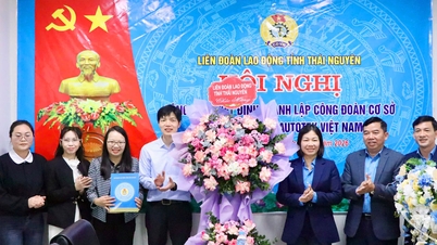Establishing a grassroots trade union at AK AUTOTEK Vietnam Co., Ltd.