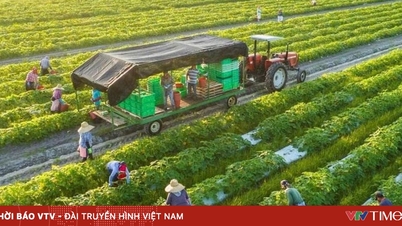 S&E Company is accelerating the expansion of its AI-powered agritech platform, prioritizing deployment in Da Lat.