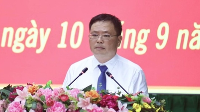 Sở Tài chính Vĩnh Long: Trụ cột tham mưu tài chính, tạo nền tảng tăng trưởng bền vững giai đoạn 2026–2030