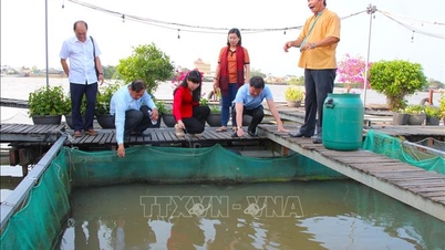 הסרת מכשולים בתשתיות ובמנגנונים עבור מודל התיירות הקהילתית באי קון סון.
