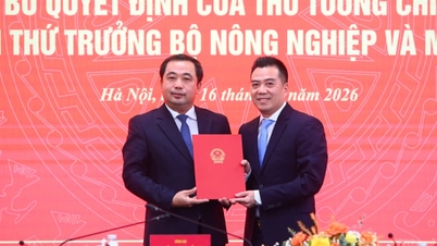 Thủ tướng bổ nhiệm ông Đặng Ngọc Điệp làm Thứ trưởng Bộ Nông nghiệp và Môi trường