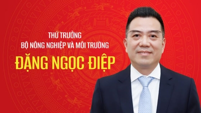 Chân dung tân Thứ trưởng Bộ Nông nghiệp và Môi trường Đặng Ngọc Điệp