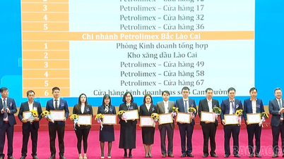 Petrolimex Lao Cai a contribué à hauteur de plus de 276 milliards de VND au budget de l'État.