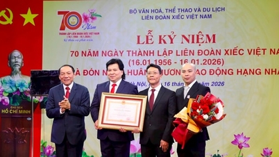 Vietnam Sirk Federasyonu Birinci Sınıf Emek Madalyası ile ödüllendirildi.