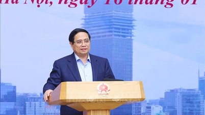 Thủ tướng chủ trì họp Ban Chỉ đạo Trung tâm tài chính quốc tế tại Việt Nam