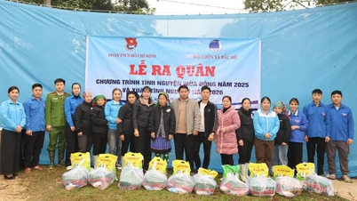 Launching Ceremony for the 2025 Winter Volunteer Program and the 2026 Spring Volunteer Program