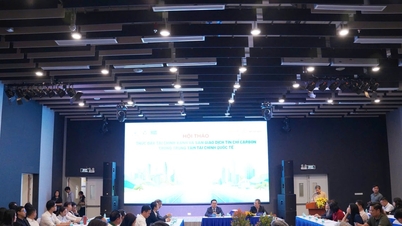 Nam A Bank este un pionier în inițierea comunității de finanțe verzi, valorificând Centrul Internațional de Finanțe din Ho Chi Minh City.
