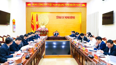 성(省)당위원회 상임위원회는 소관 사항에 관한 여러 사안에 대해 의견을 제시했습니다.